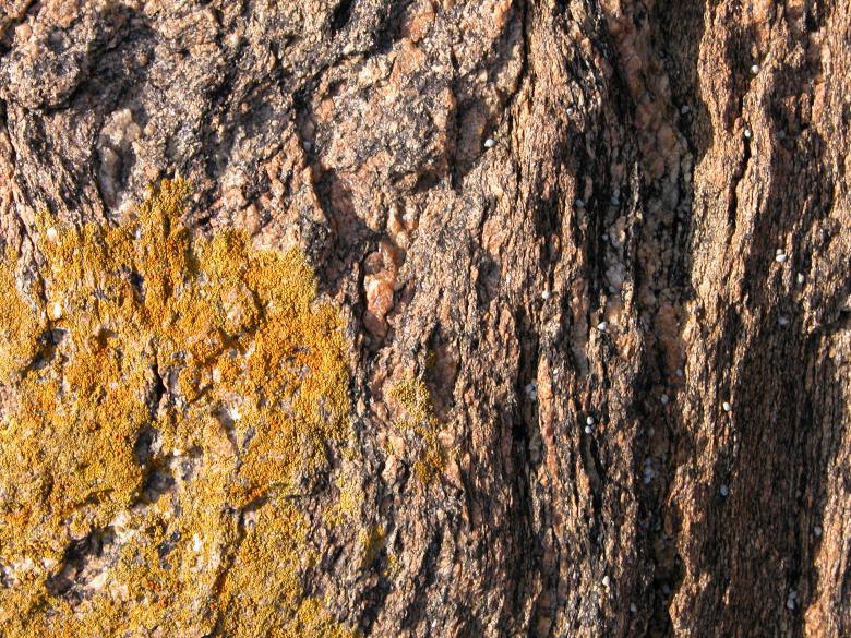 Free stock image of Texture of Rock created by CHRISTIAN HEMBERT