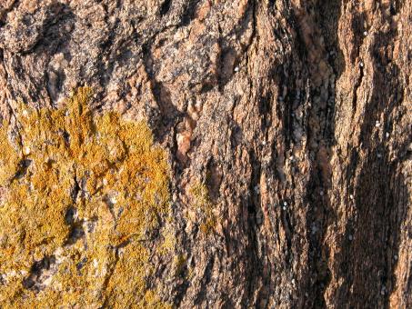 Texture of Rock - Free Stock Photo