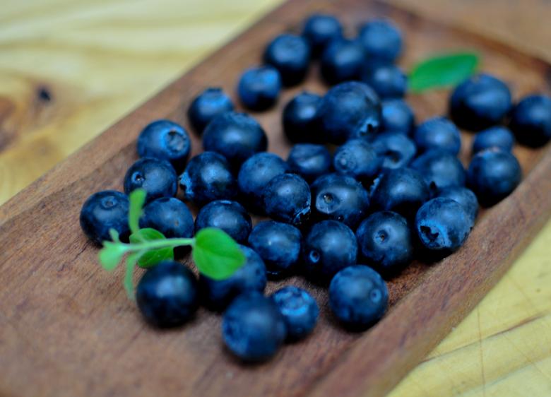Free stock image of Organic Blueberries created by Photostockeditor
