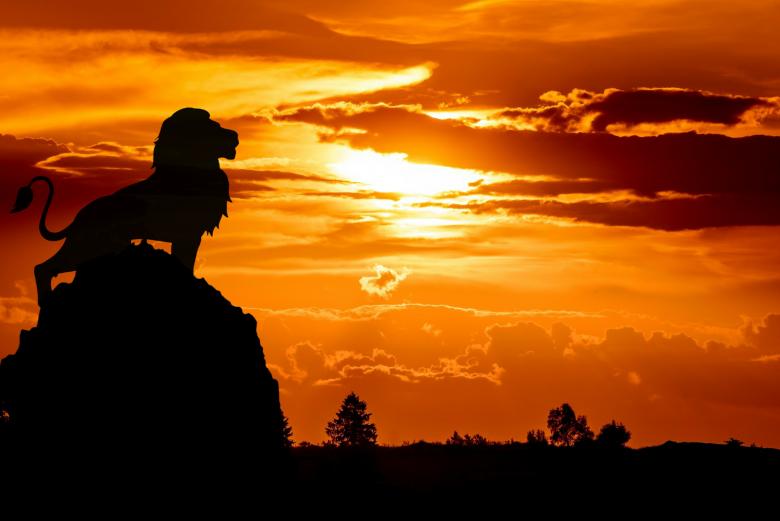 Free stock image of Lion King created by mohamed hassan