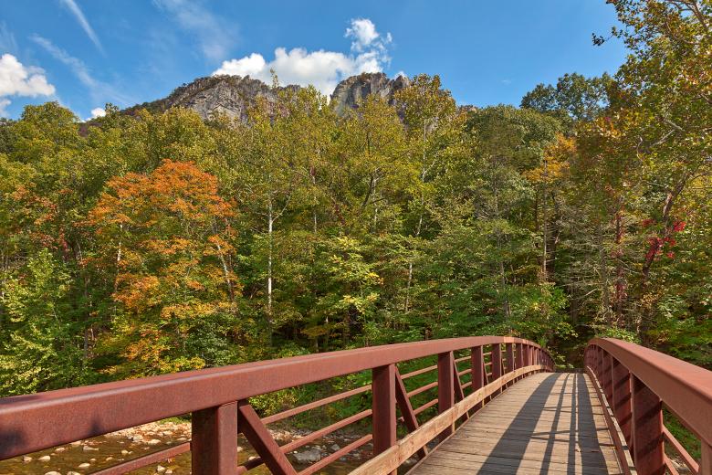 Free stock image of Seneca Rocks Bridge created by Nicolas Raymond