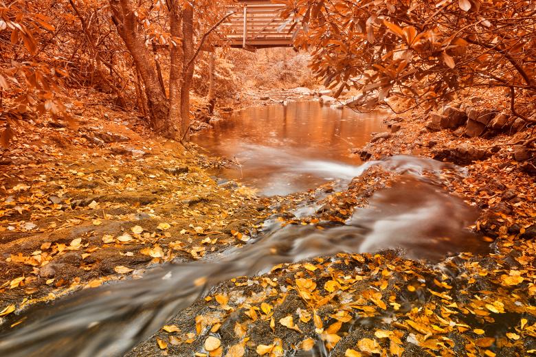 Free stock image of Hawk Run Autumn Fantasy created by Nicolas Raymond