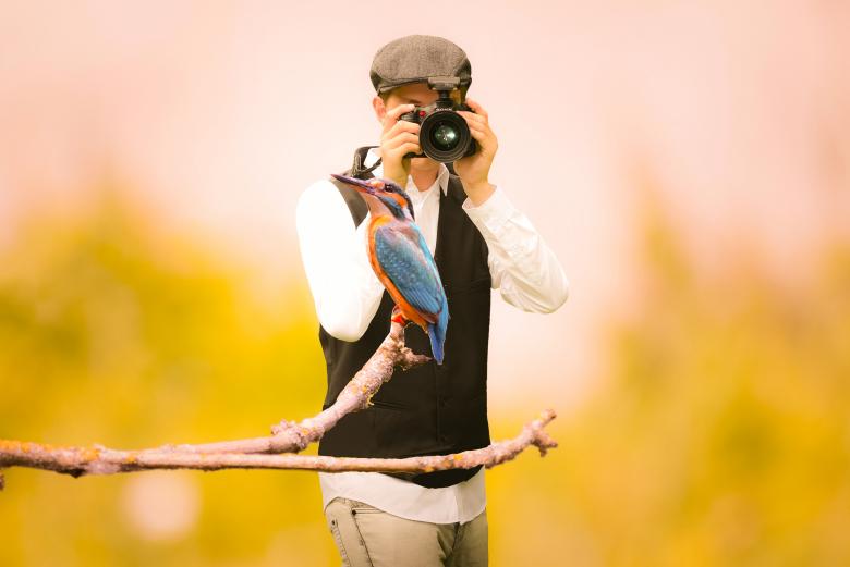 Free stock image of Hummingbird Photographer created by mohamed hassan