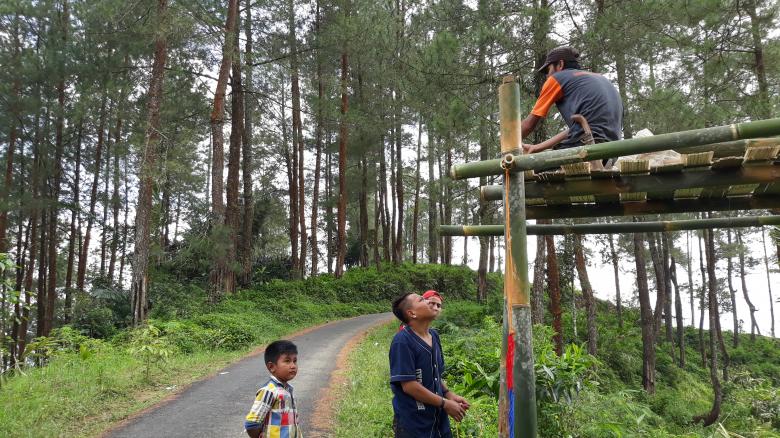 Free stock image of Constructing Tree Platform created by bang doel
