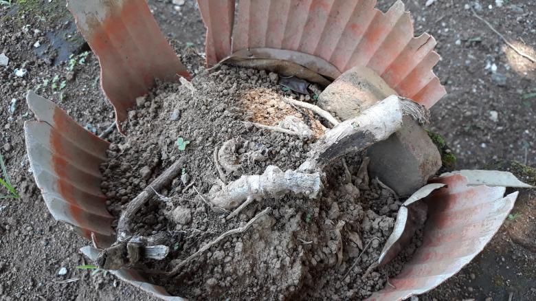 Free stock image of Dirt and Wood created by bang doel