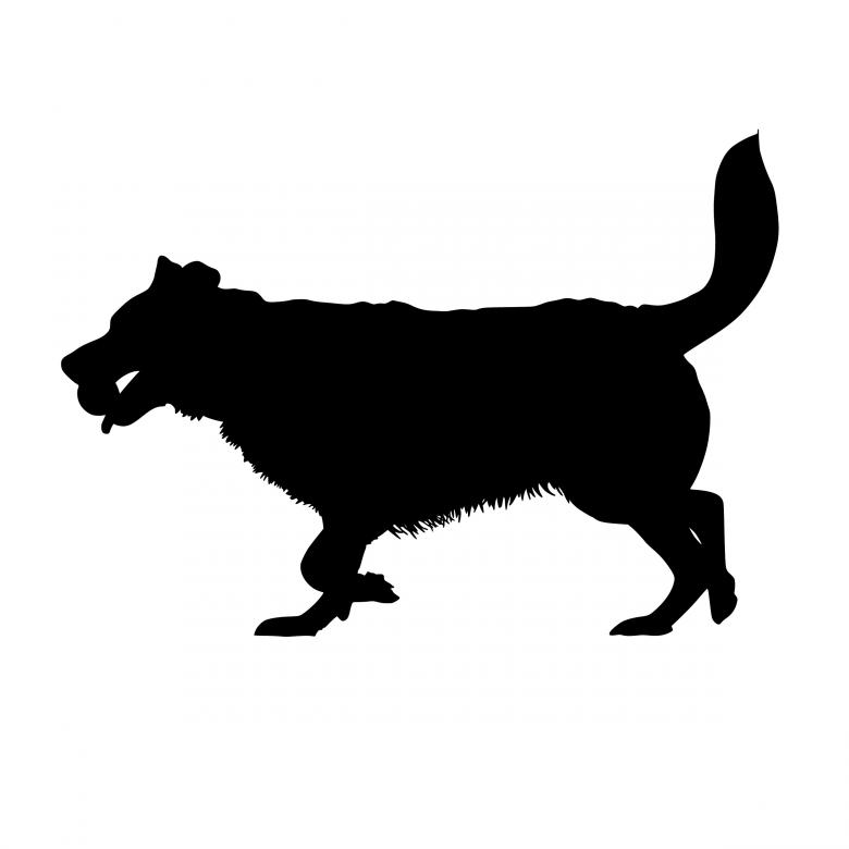 Free stock image of Dog Catching Ball Silhouette created by mohamed hassan