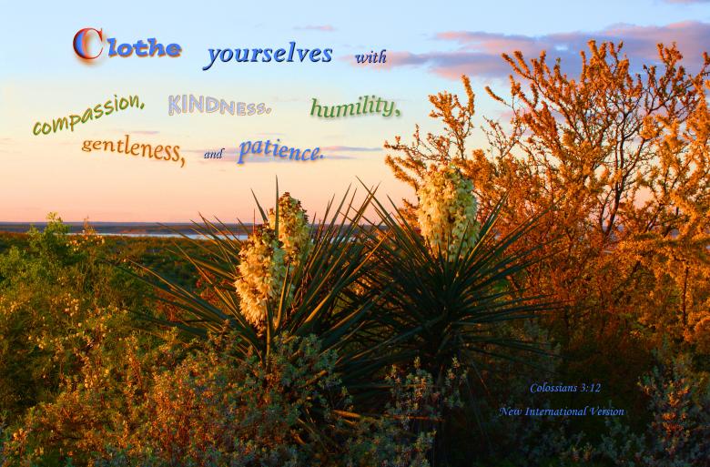 Free stock image of Clothe Yourselves with Kindness created by DFNatureAwed
