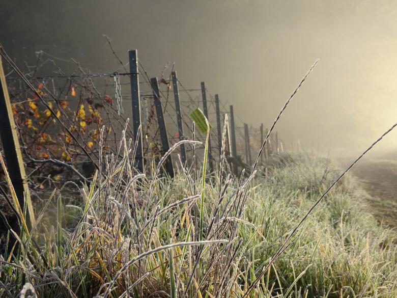 Free stock image of Autumn sunset and freezing mist created by GAIMARD Jacques