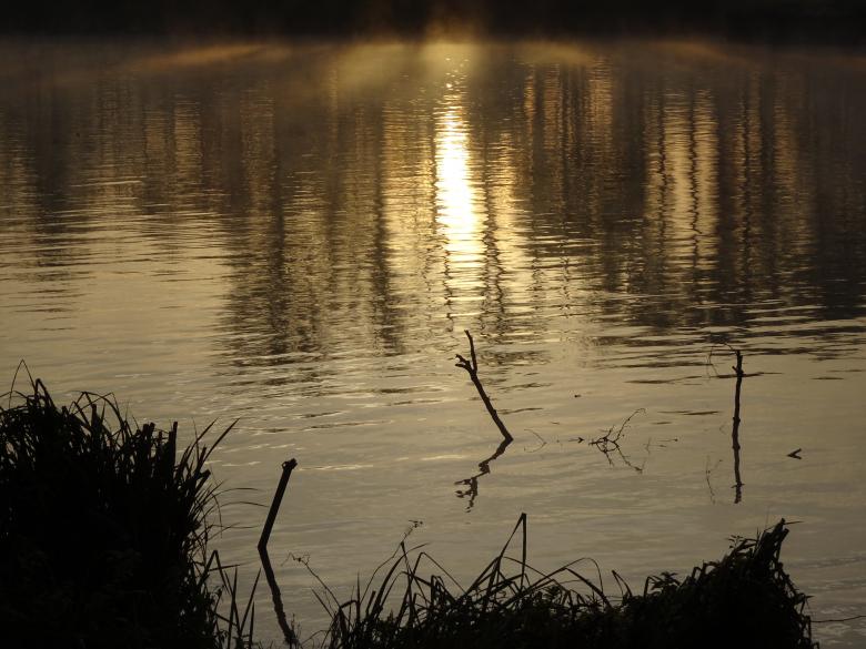 Free stock image of Quiet sunset over golden waters created by GAIMARD Jacques