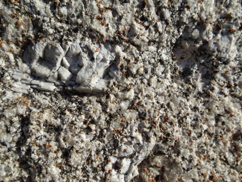 Free stock image of Gold dust or lichens and moss? created by GAIMARD Jacques