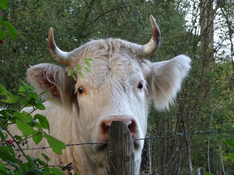 Free stock image of Scratching my nose created by GAIMARD Jacques