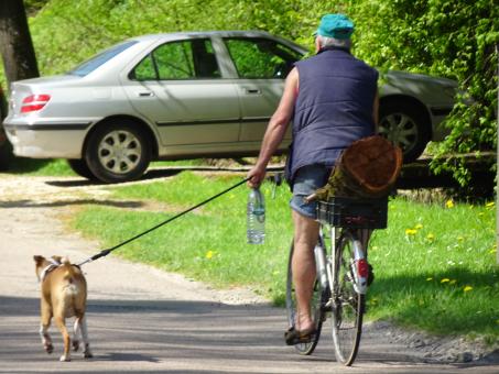 Free Stock Photo of Stop pulling on that leash!!