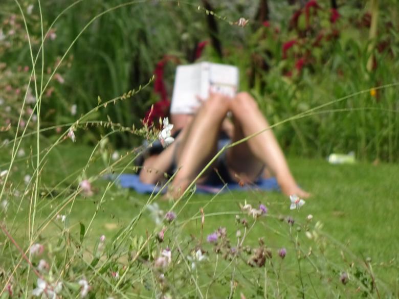 Free stock image of Why don't I ask her what she's reading? created by GAIMARD Jacques