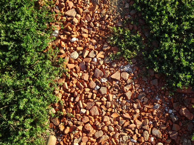 Free stock image of Bricks & grass pathway created by GAIMARD Jacques