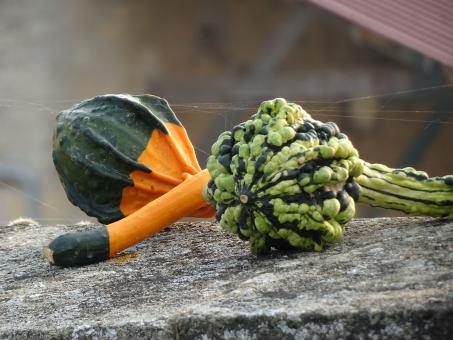 Name impossible to pronounce, but so beautiful vegetables  - Free Stock Photo