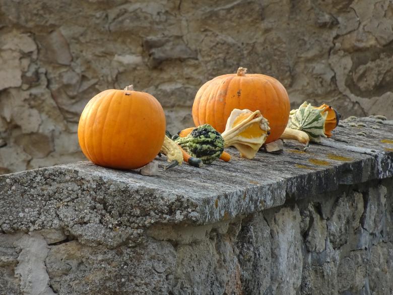 Free stock image of Pumpkins and related on a wall. Help yourself, please!! created by GAIMARD Jacques