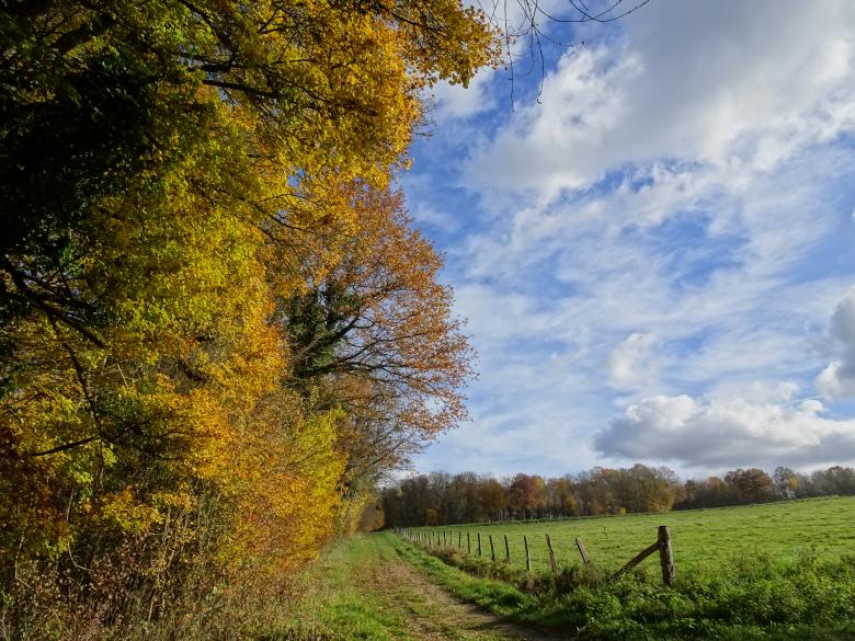 Free stock image of Unforgettable autumn day... created by GAIMARD Jacques