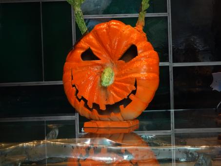 Free Stock Photo of Halloween artistic chocolate in a shop