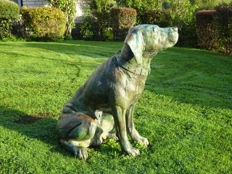 Free Stock Photo of Big bronze sculpture of a dog, emblem of a city