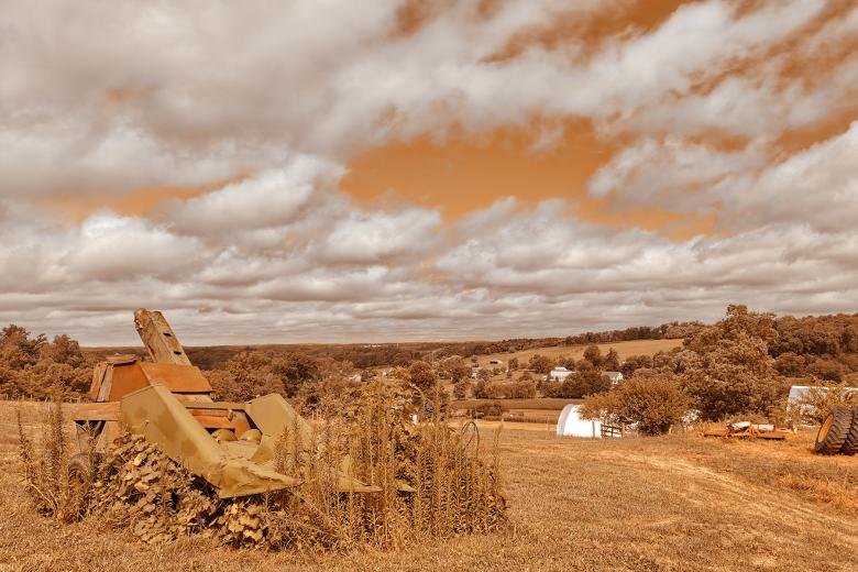 Free stock image of Warm Organic Neglect created by Nicolas Raymond