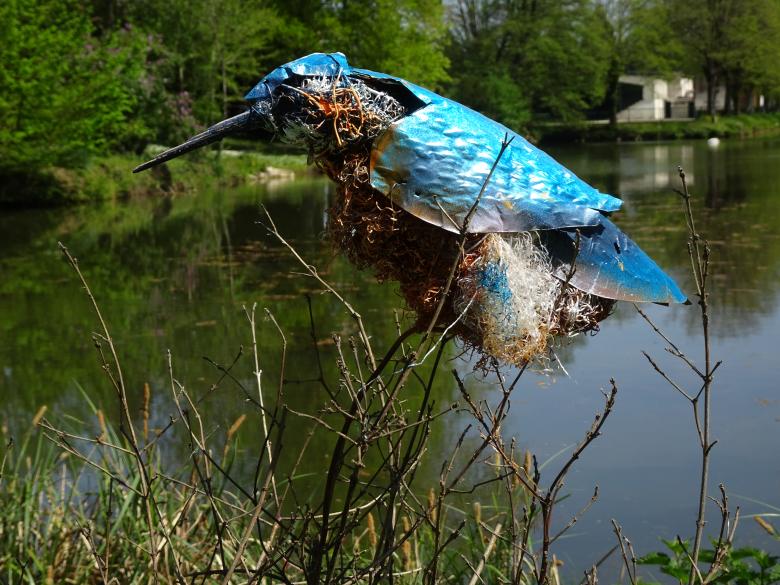 Free stock image of This is not a kingfisher created by GAIMARD Jacques