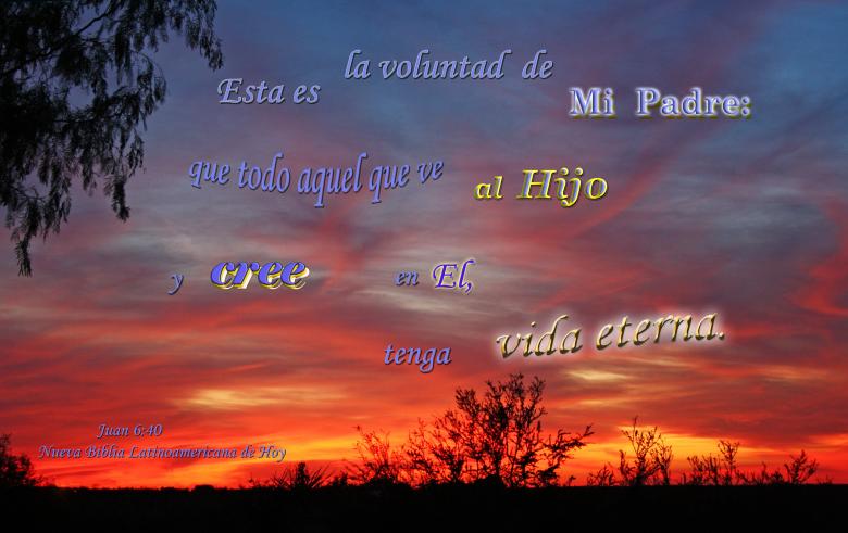 Free stock image of Todo Que Cree en El created by DFNatureAwed