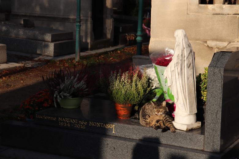 Free stock image of I feel secure with Virgin Mary... created by GAIMARD Jacques