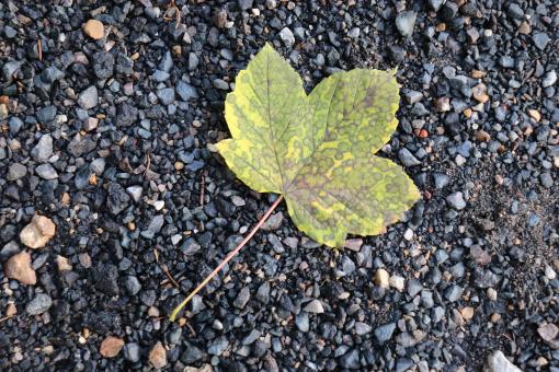 On its bed of gravel... - Free Stock Photo