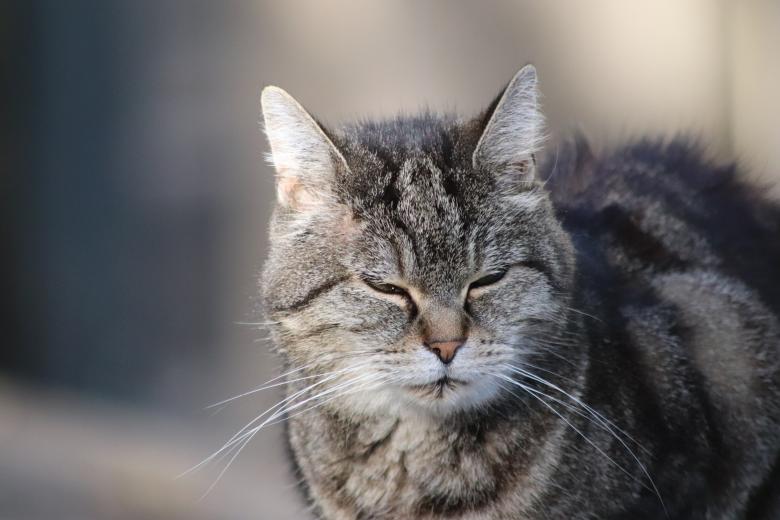 Free stock image of Ultra-zen attitude... created by GAIMARD Jacques