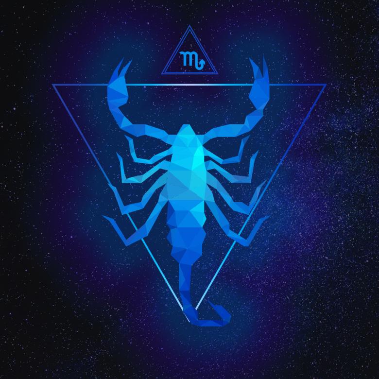 Free stock image of Scorpion Polygonal Artwork created by Helen