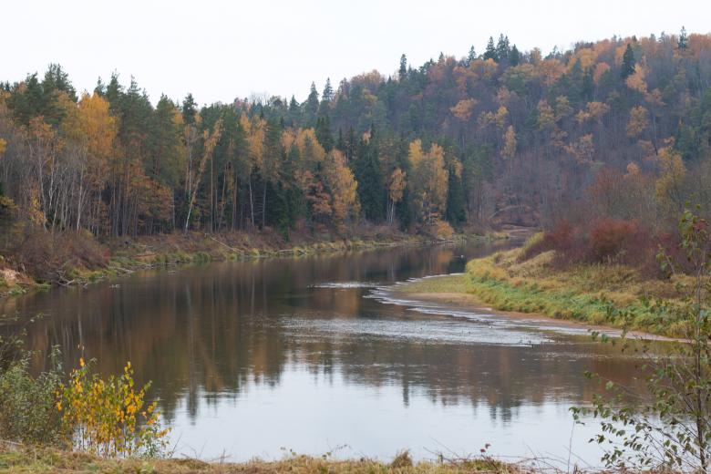 Free stock image of The River of Gauja created by Janis Urtans