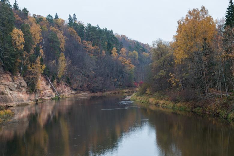 Free stock image of The River of Gauja in Fall created by Janis Urtans
