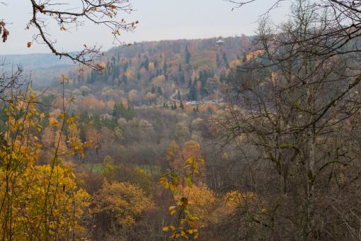 Free Stock Photo of A View of Fall