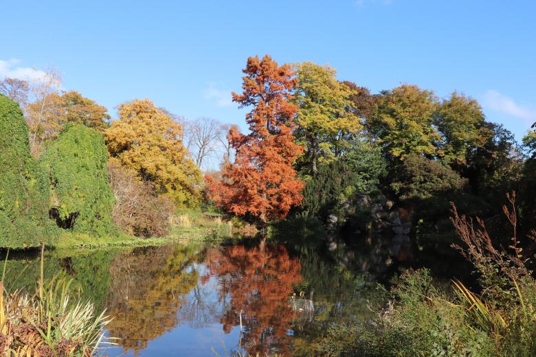 Free stock image of Colorful trees around the lake created by GAIMARD Jacques