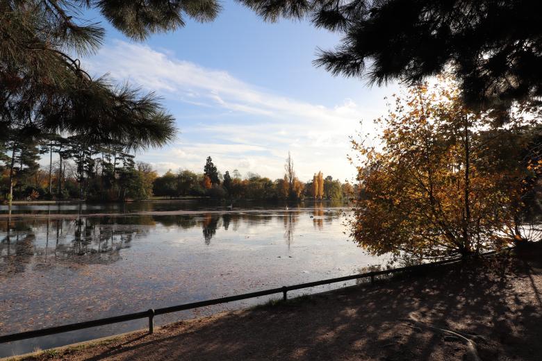Free stock image of Lake in a public park created by GAIMARD Jacques
