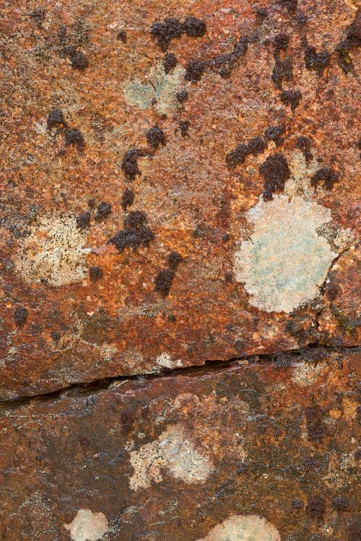 Free stock image of Cracked Lichen Stone created by Nicolas Raymond