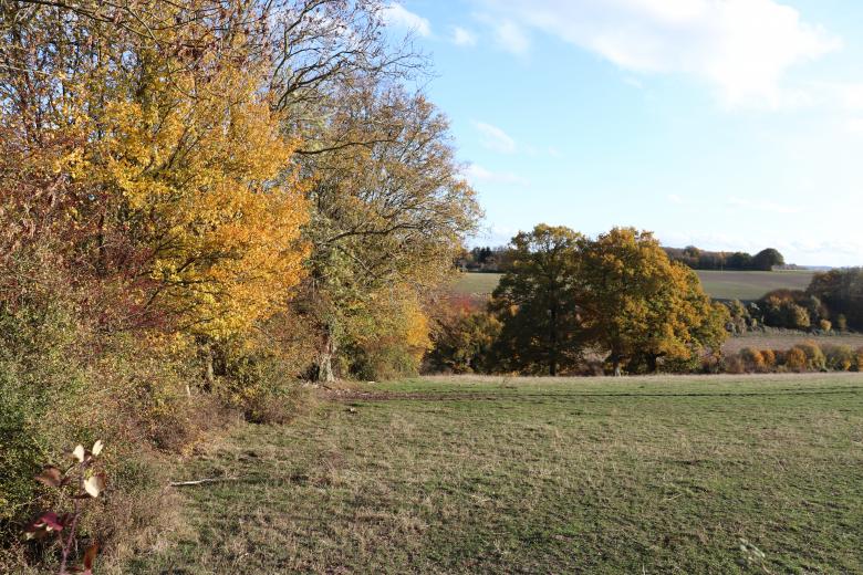 Free stock image of Autumn landscape created by GAIMARD Jacques