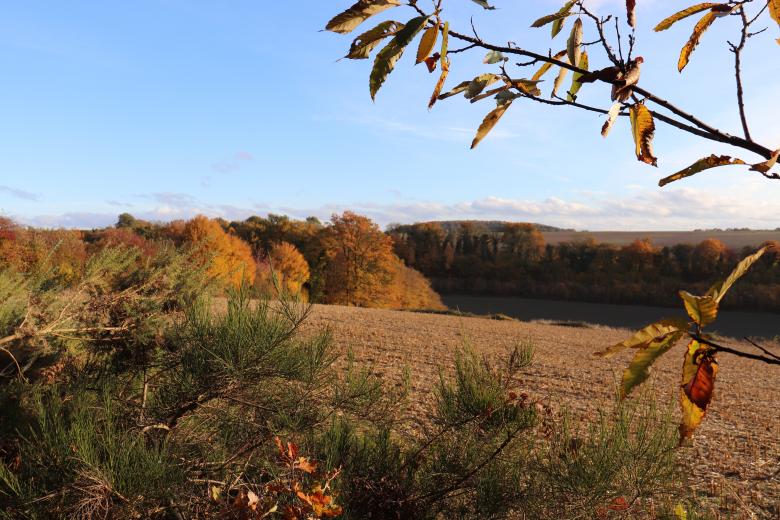 Free stock image of Autumn landscape and trees created by GAIMARD Jacques