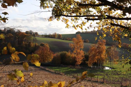 Free Stock Photo of Autumn Landscape