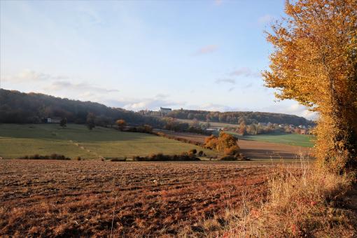 Free Stock Photo of Autumn landscape, sunset gentle light...
