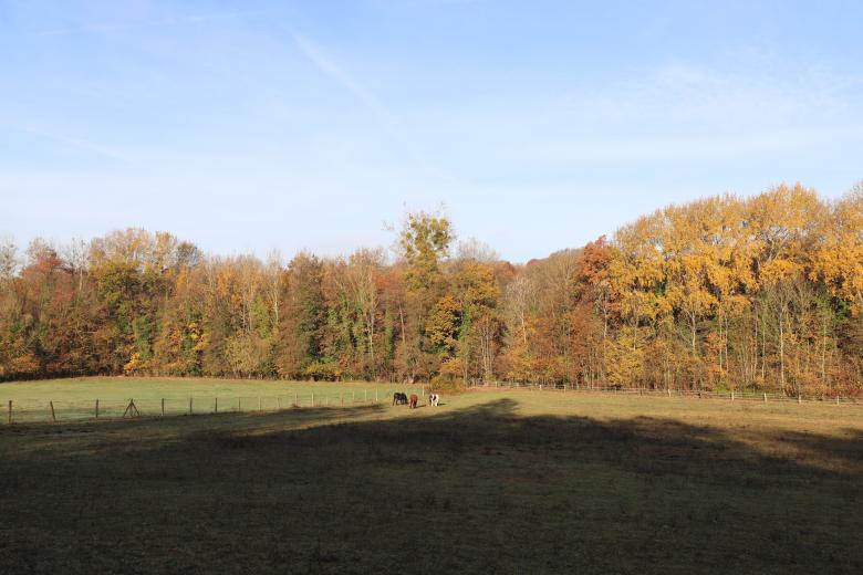 Free stock image of Autumn Fields and Animals created by GAIMARD Jacques