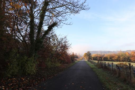 Free Stock Photo of Narrow Country Road