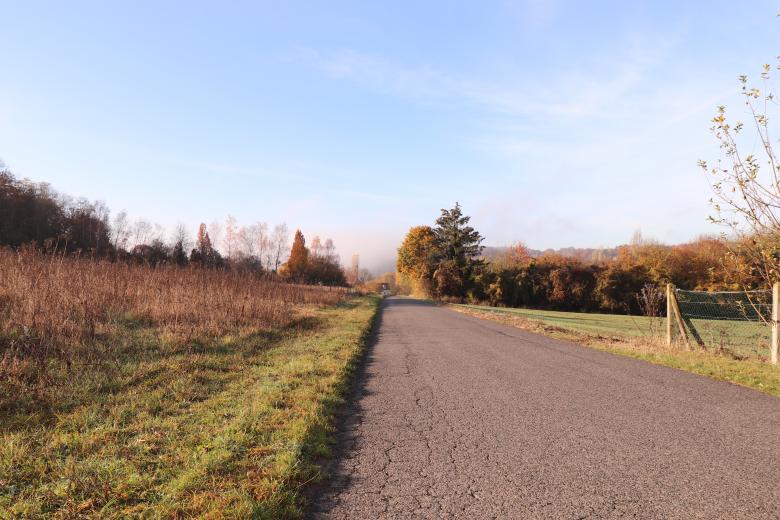 Free stock image of Country Road in Autumn created by GAIMARD Jacques