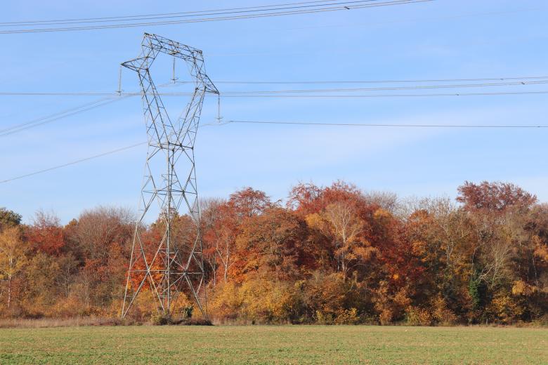 Free stock image of Autumn Trees and Power Lines created by GAIMARD Jacques
