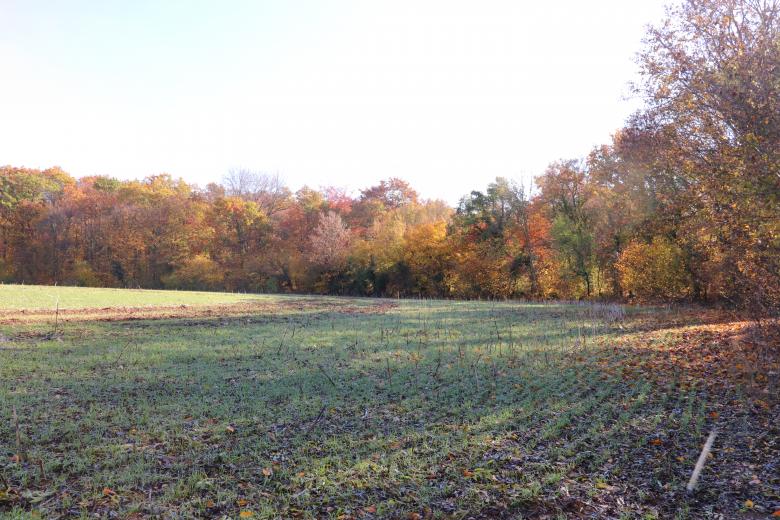 Free stock image of Autumn Field created by GAIMARD Jacques