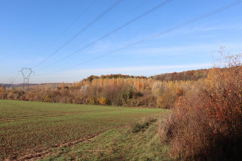 Free stock image of Autumn Field and Powerlines created by GAIMARD Jacques