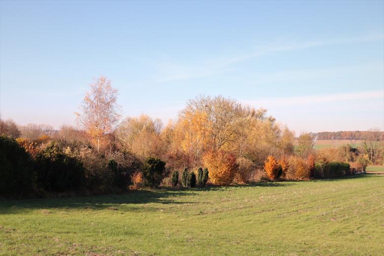 Free stock image of Landscape in Autumn created by GAIMARD Jacques