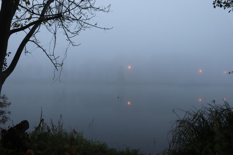 Free stock image of Fog on sunrise created by GAIMARD Jacques