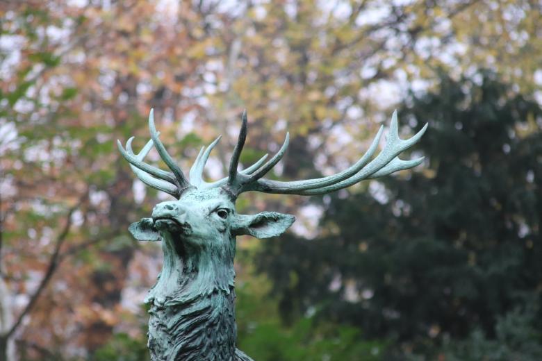 Free stock image of His majesty the deer created by GAIMARD Jacques
