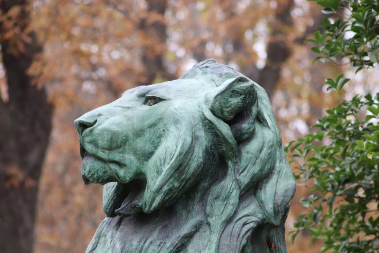 Free stock image of Lion bronze sculpture created by GAIMARD Jacques
